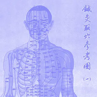 Extrait d'une planche présentant les points d'acupuncture sur le dessin d'un corps humain 